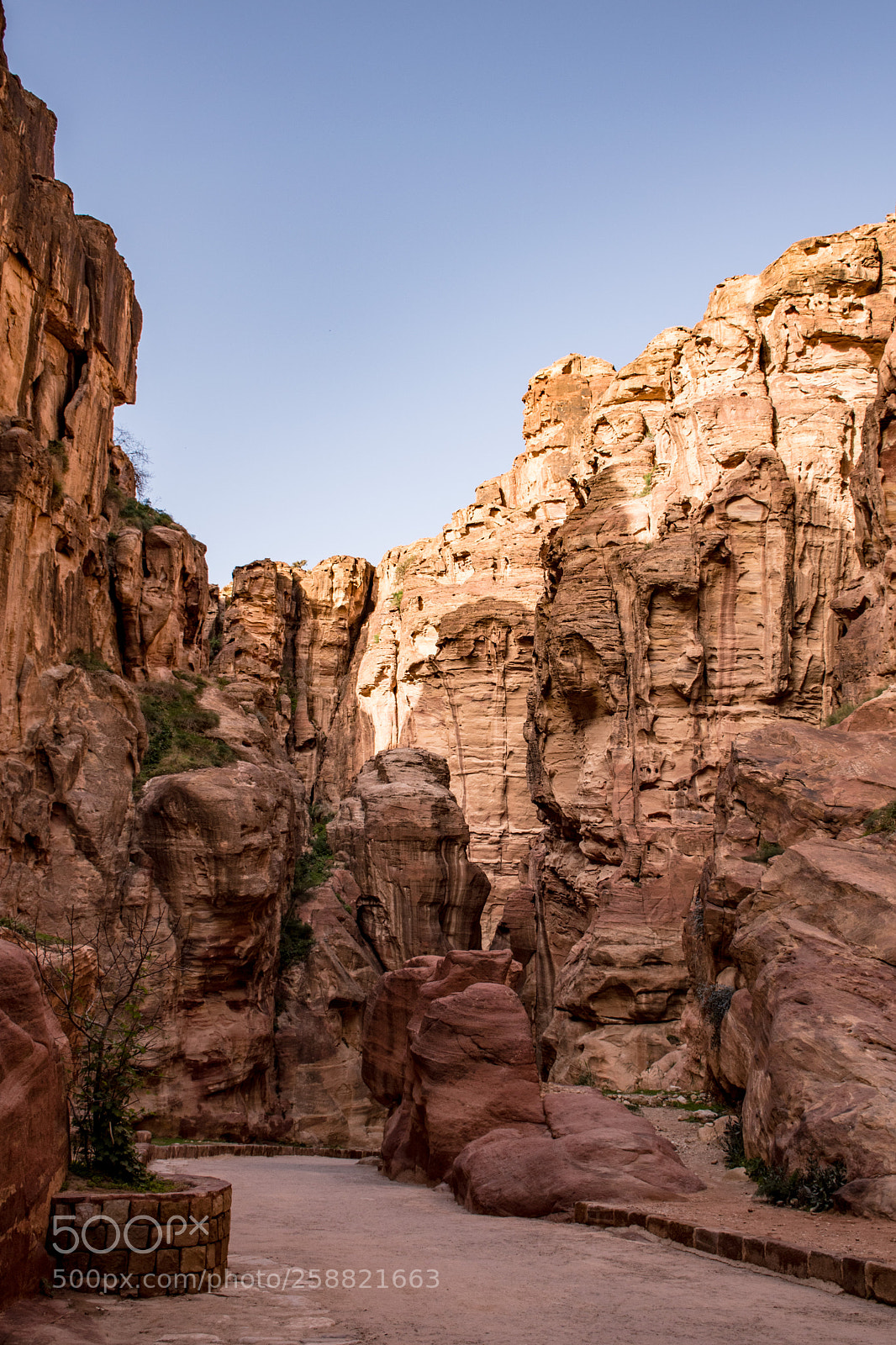 Nikon D5500 sample photo. Siq photography