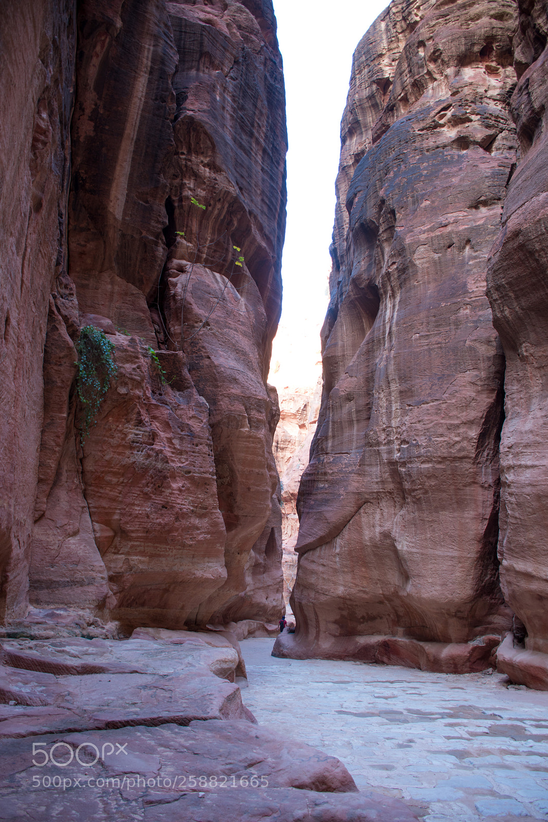 Nikon D5500 sample photo. Inside the siq photography