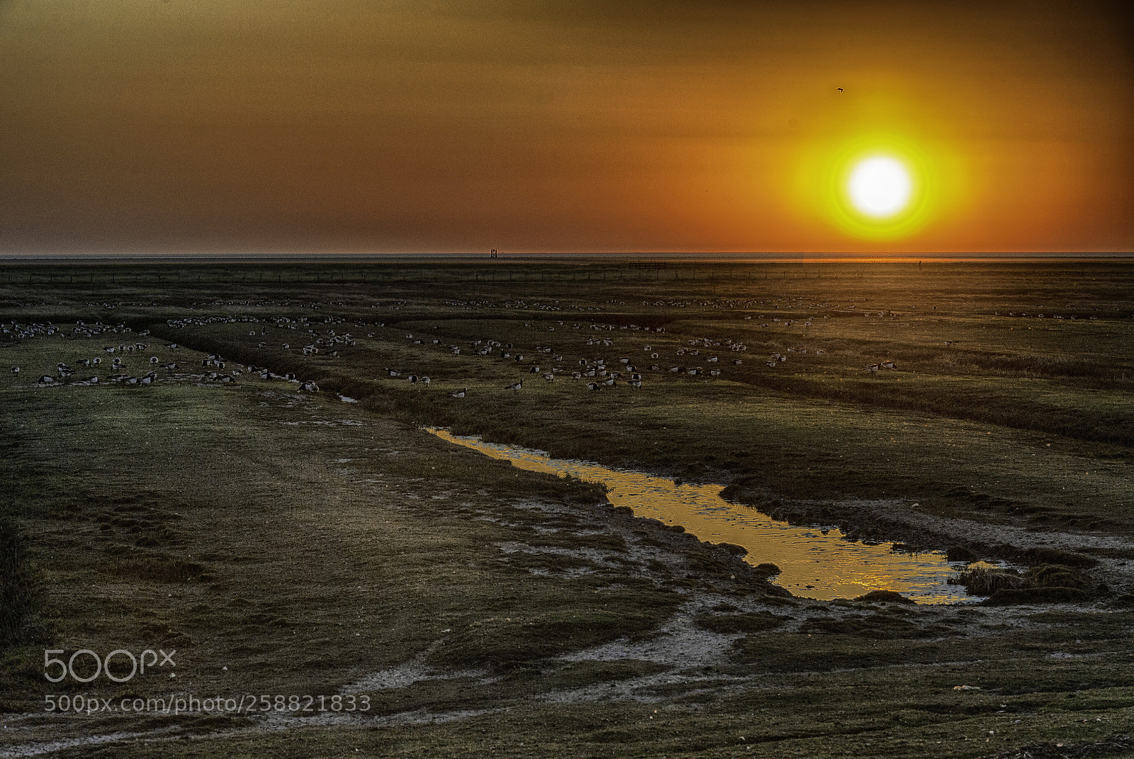 Nikon D700 sample photo. Sunset over the salt photography