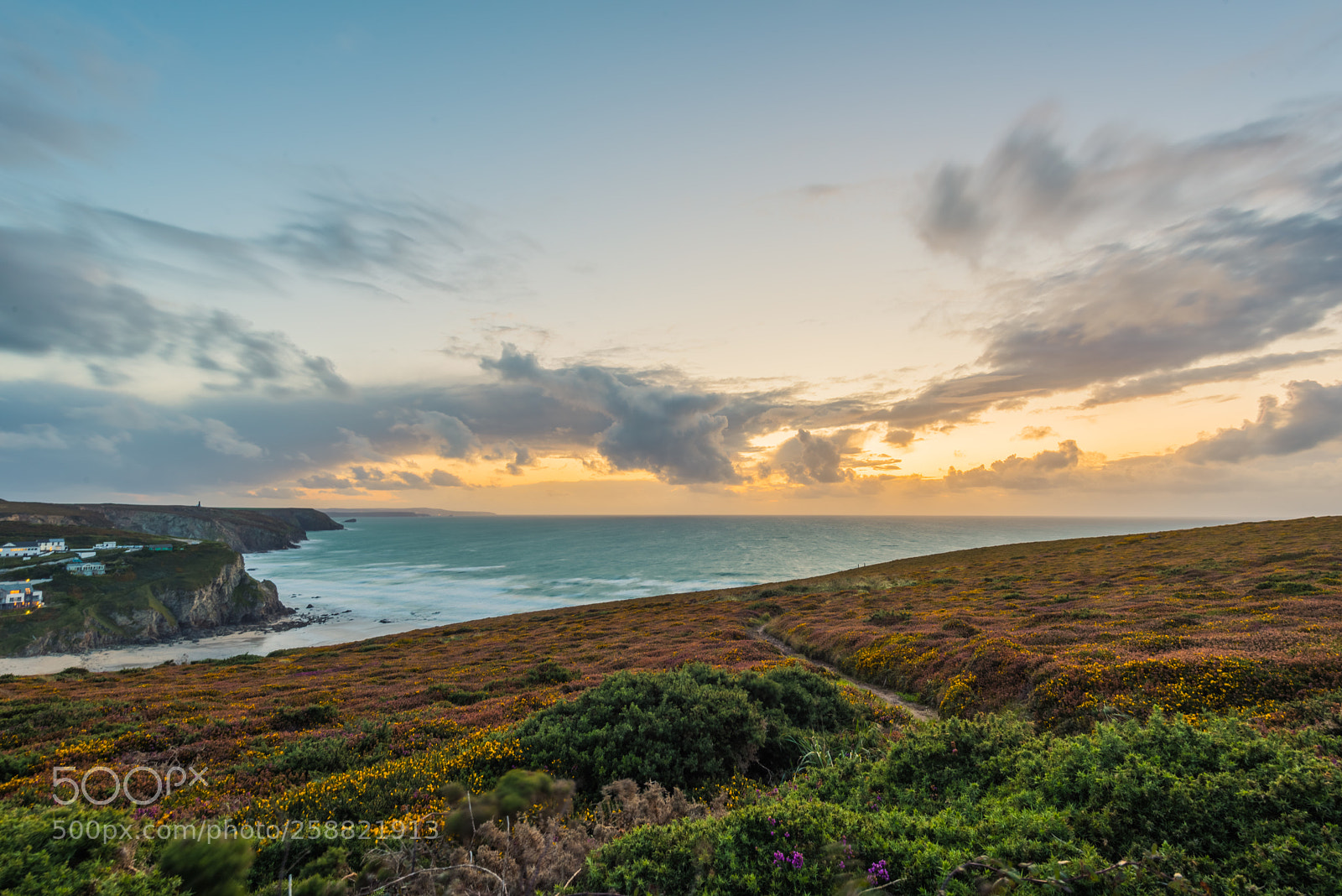 Nikon D810 sample photo. Cornwall coastline photography