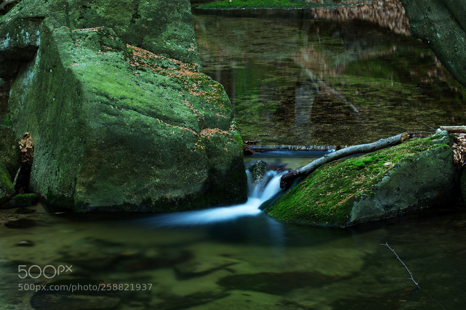 Nikon D7200 sample photo. Tranquillity interrupted photography
