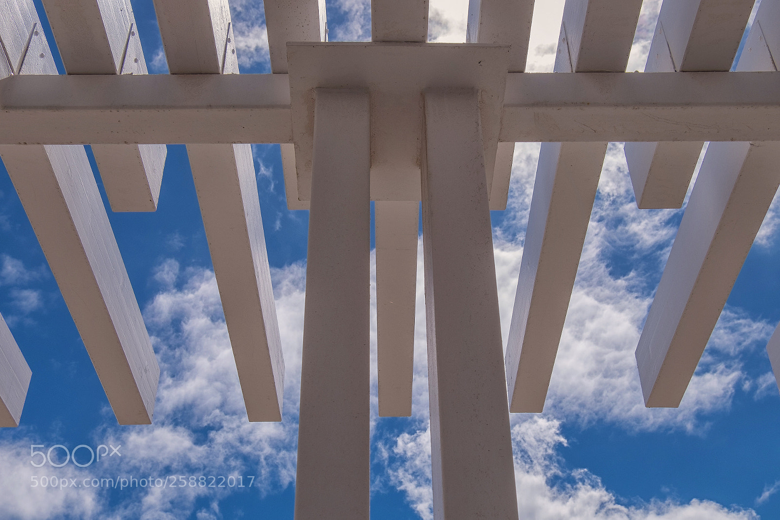 Fujifilm X-T1 sample photo. Watching the skies photography