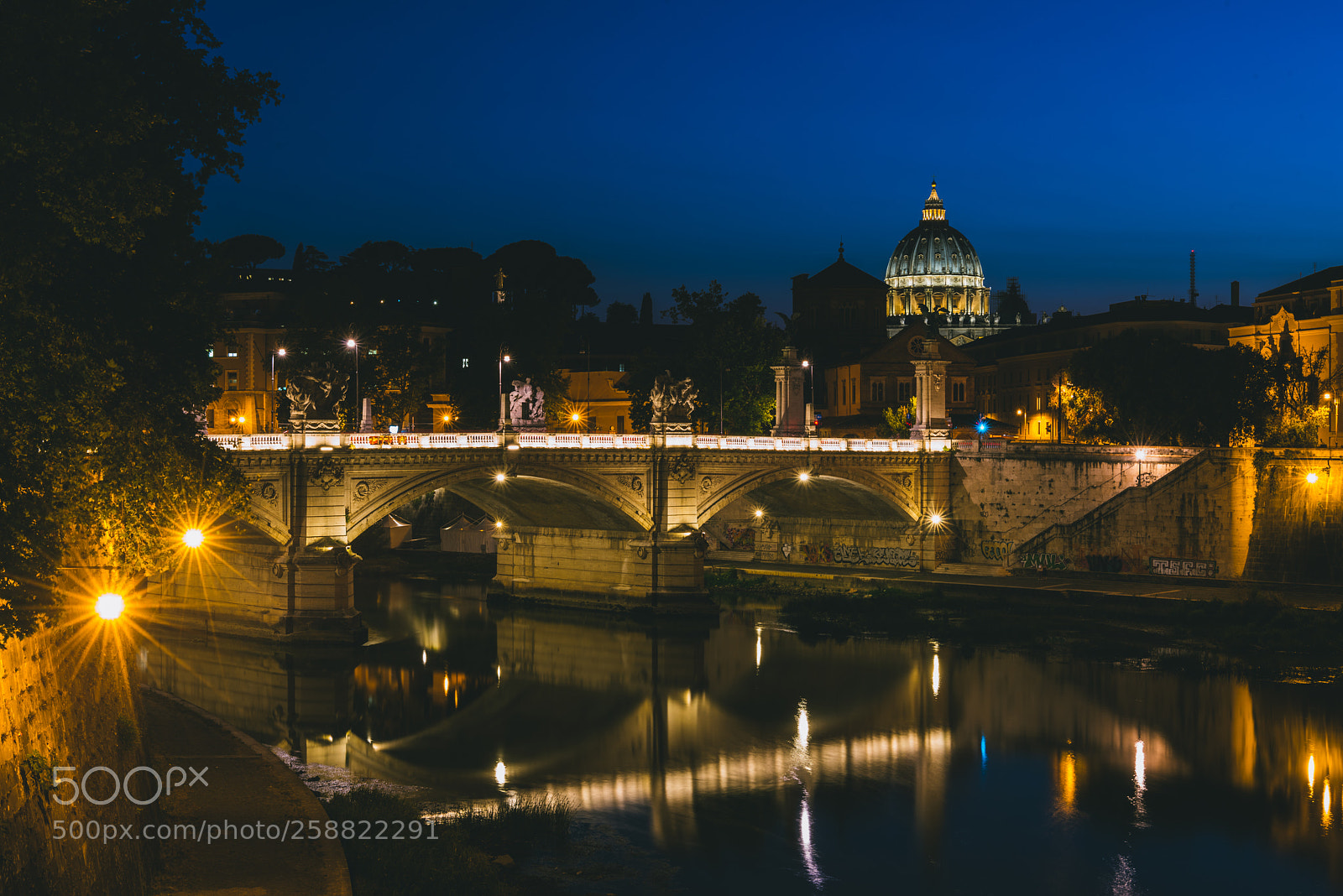 Nikon D810 sample photo. The vatican at twilight photography