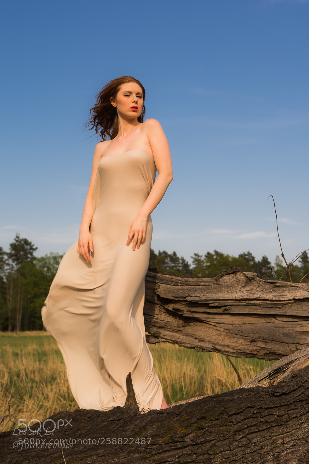 Nikon D7100 sample photo. Angelise photography