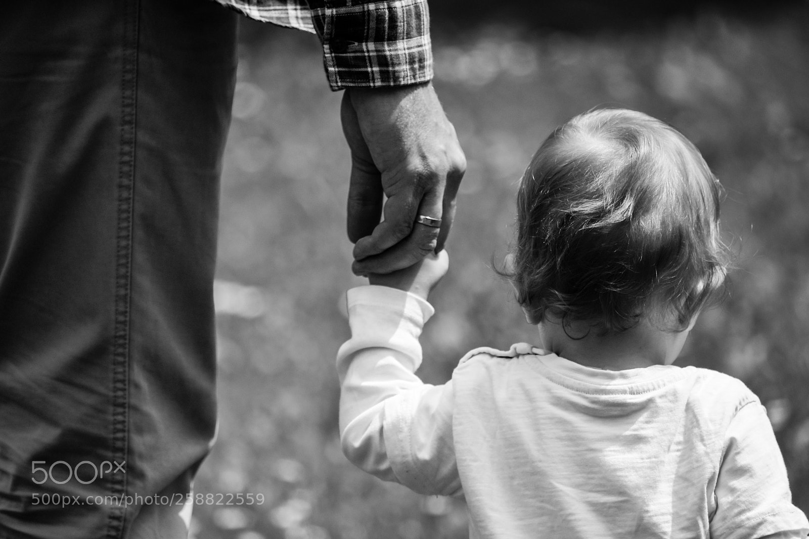 Nikon D7500 sample photo. Untitled photography