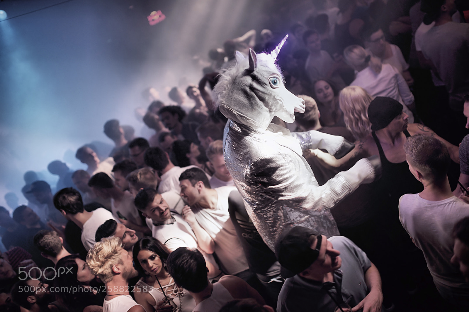 Sony SLT-A99V sample photo. The last unicorn photography