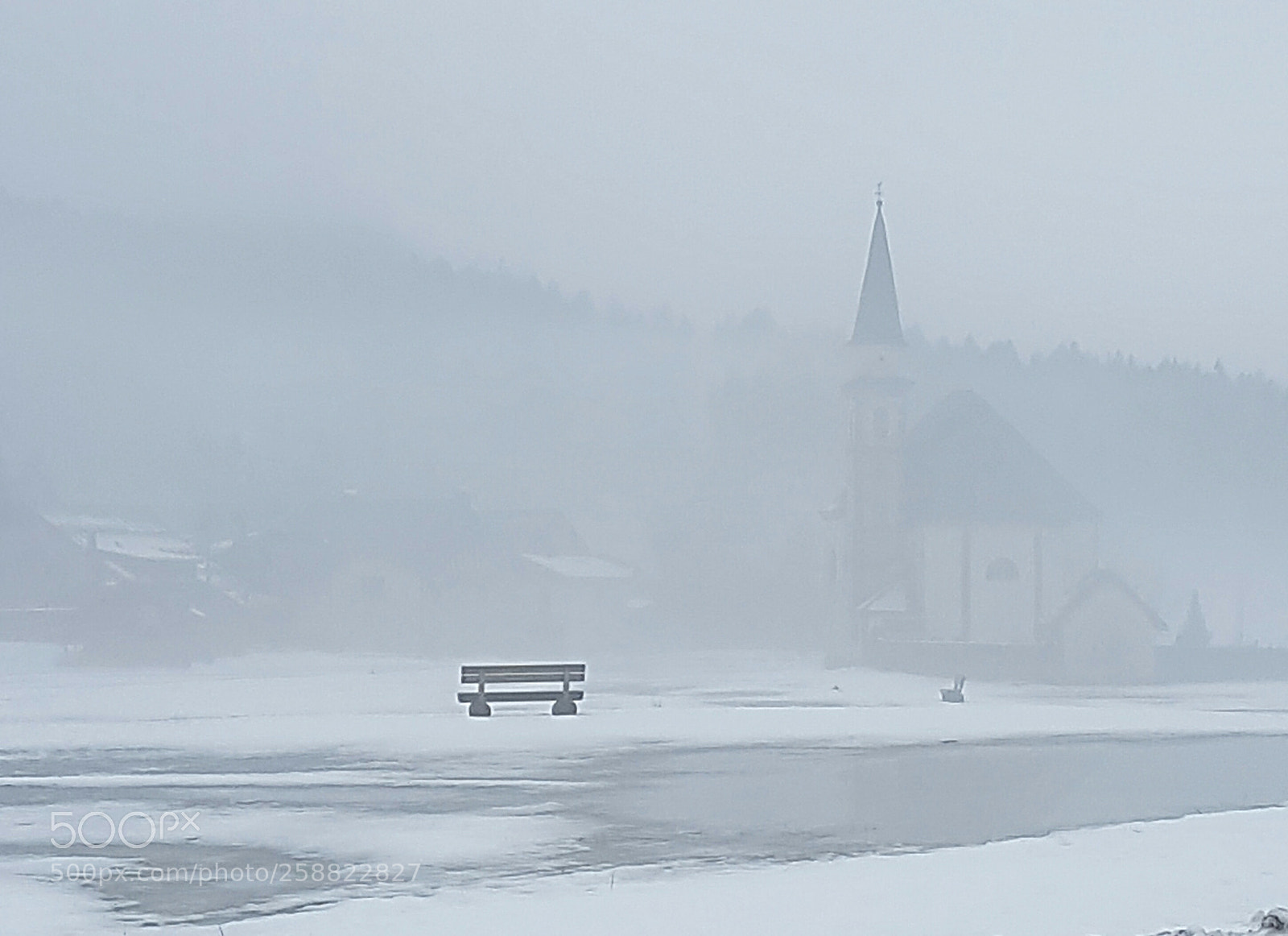 Samsung Galaxy S7 Edge sample photo. Immerso nella nebbia photography