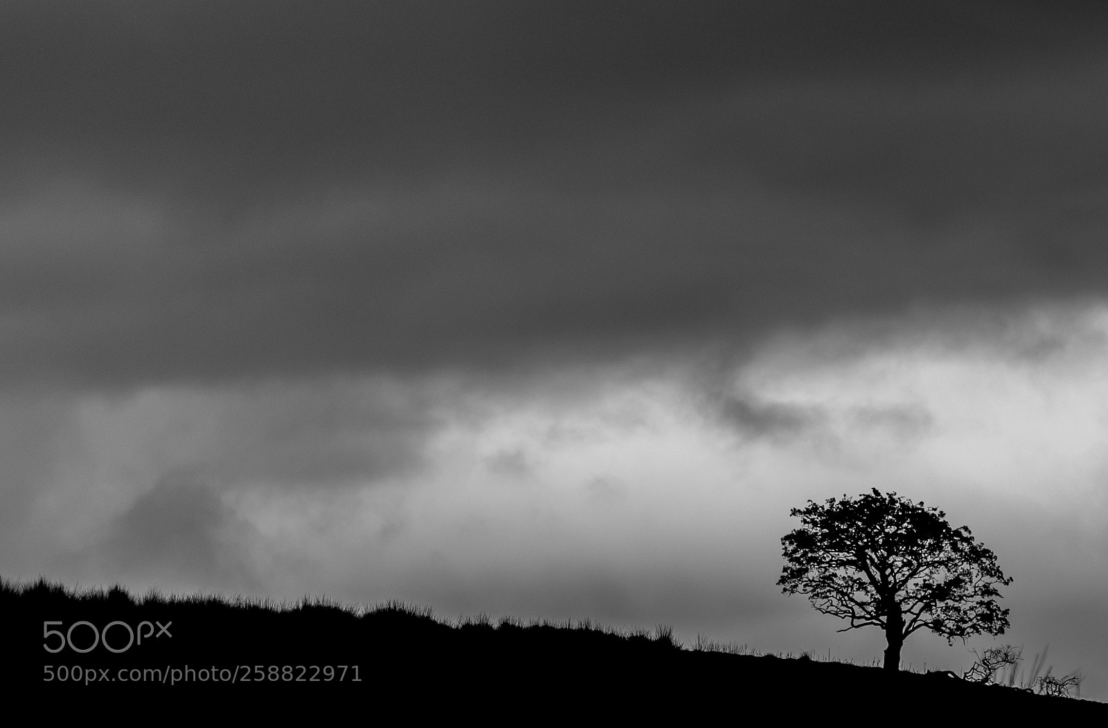 Nikon D3300 sample photo. Cumbrian isolation photography