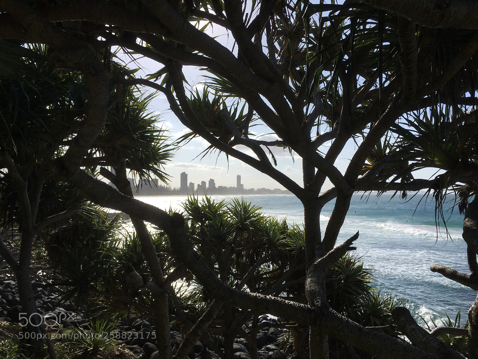 Apple iPhone SE sample photo. Peaceful gold coast photography