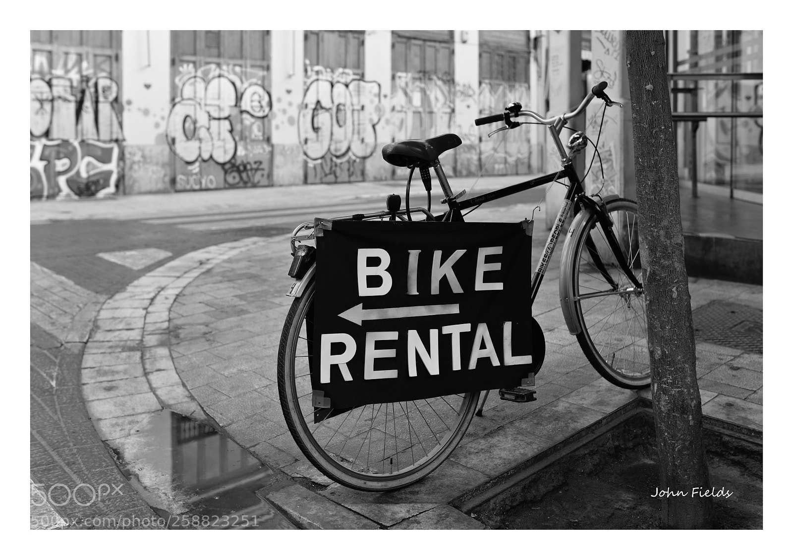 Nikon D800 sample photo. Bike rental (valència) photography