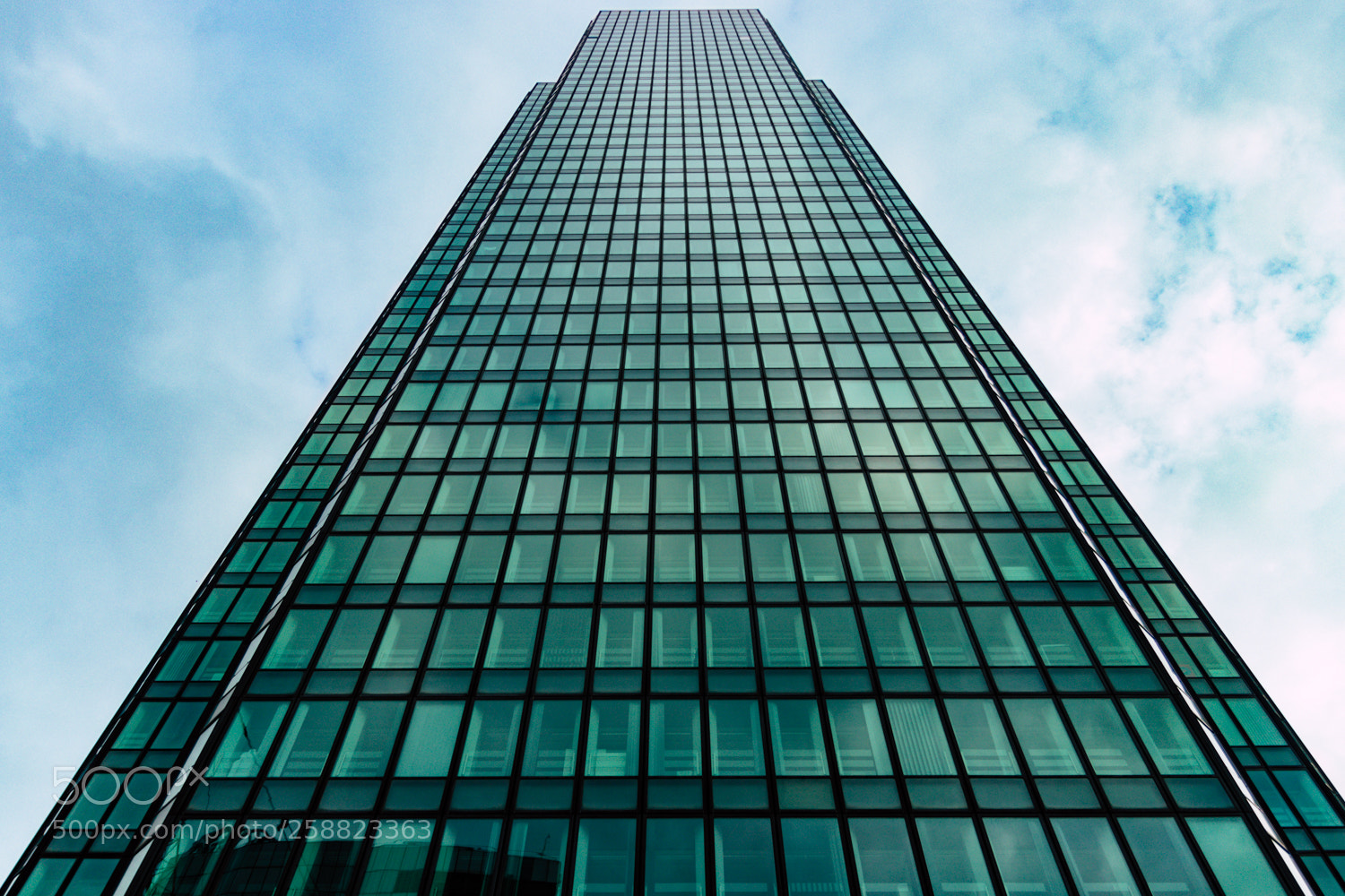 Canon EOS 80D sample photo. Green office photography