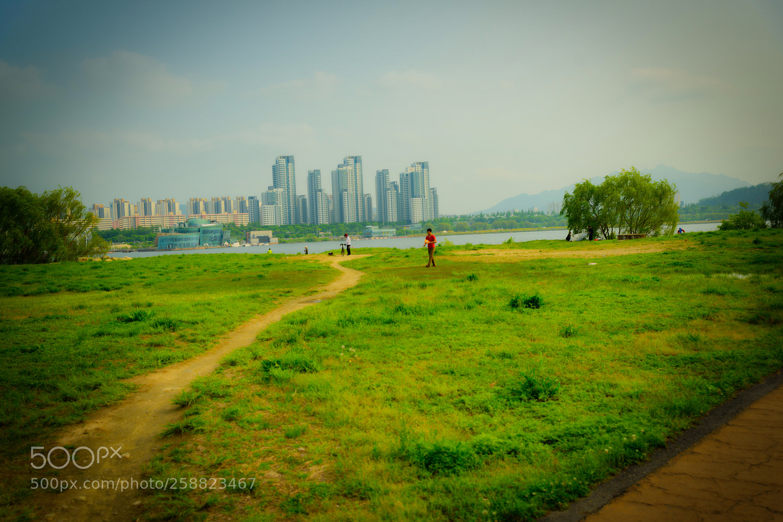 Nikon D750 sample photo. A fine day photography