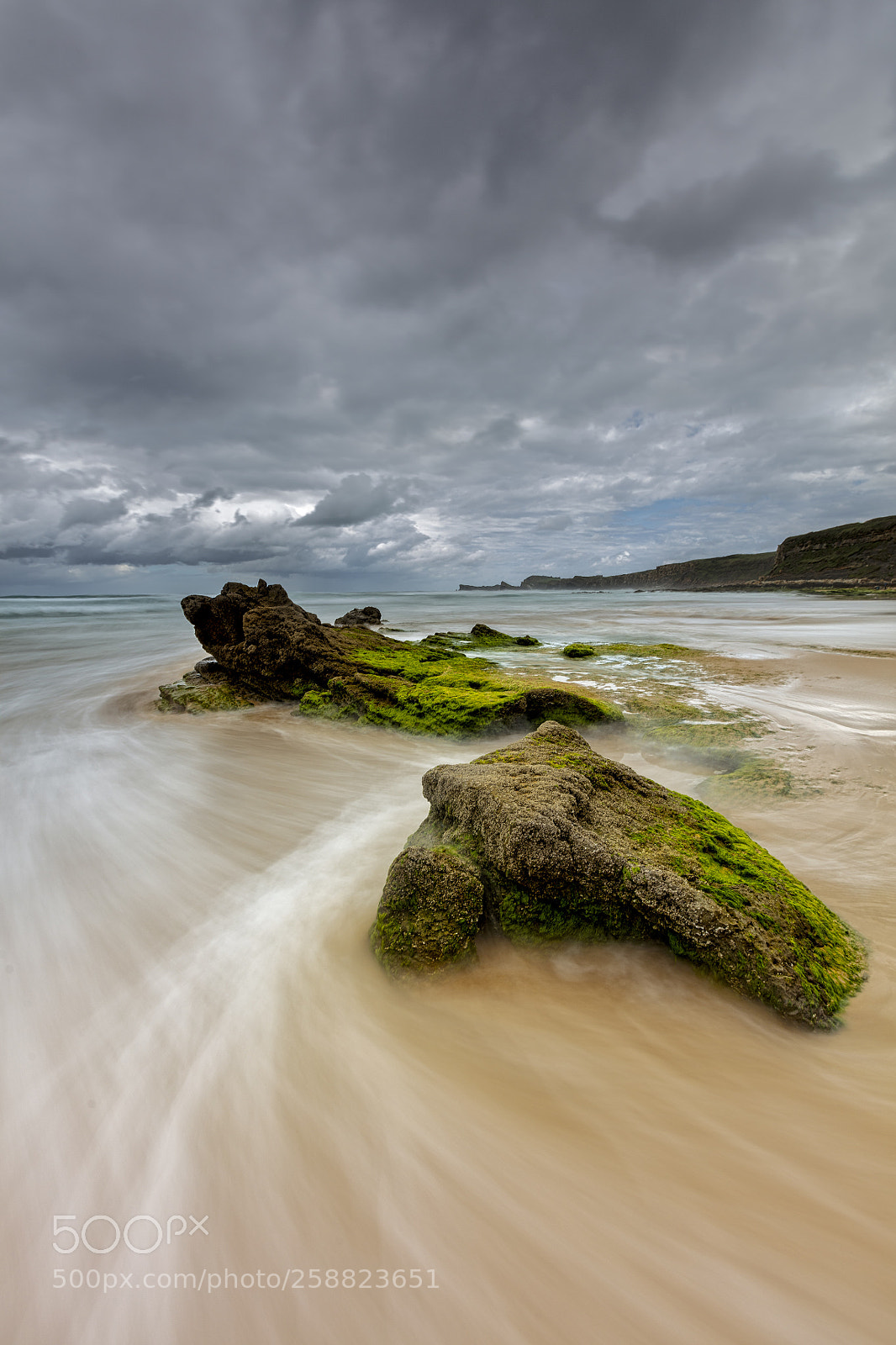 Canon EOS 5DS R sample photo. Rock trunk photography