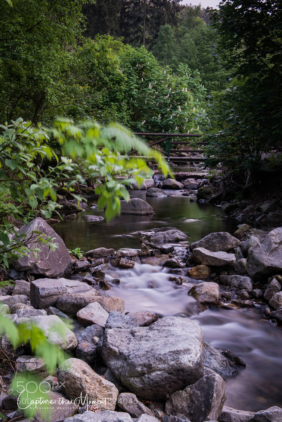 Nikon D800 sample photo. Untitled photography