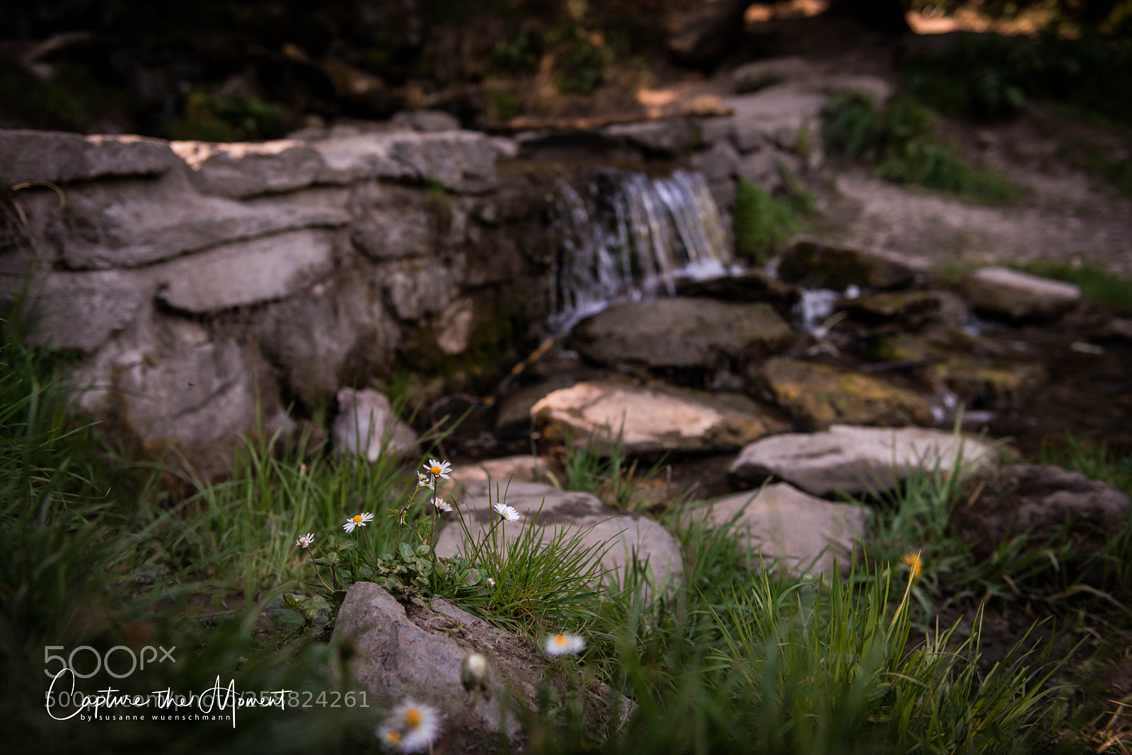 Nikon D800 sample photo. Untitled photography