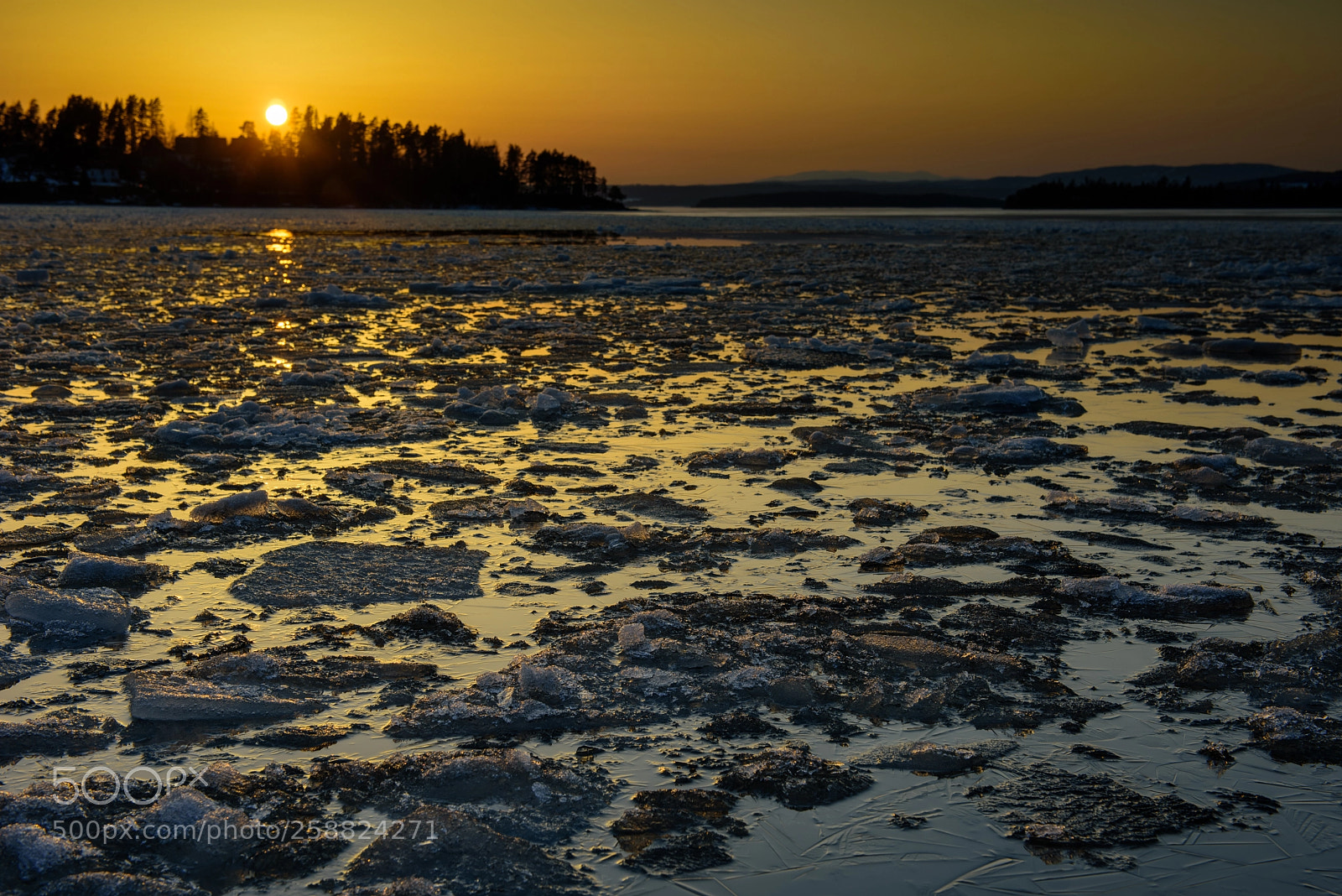 Nikon D810 sample photo. Tyinfjorden photography