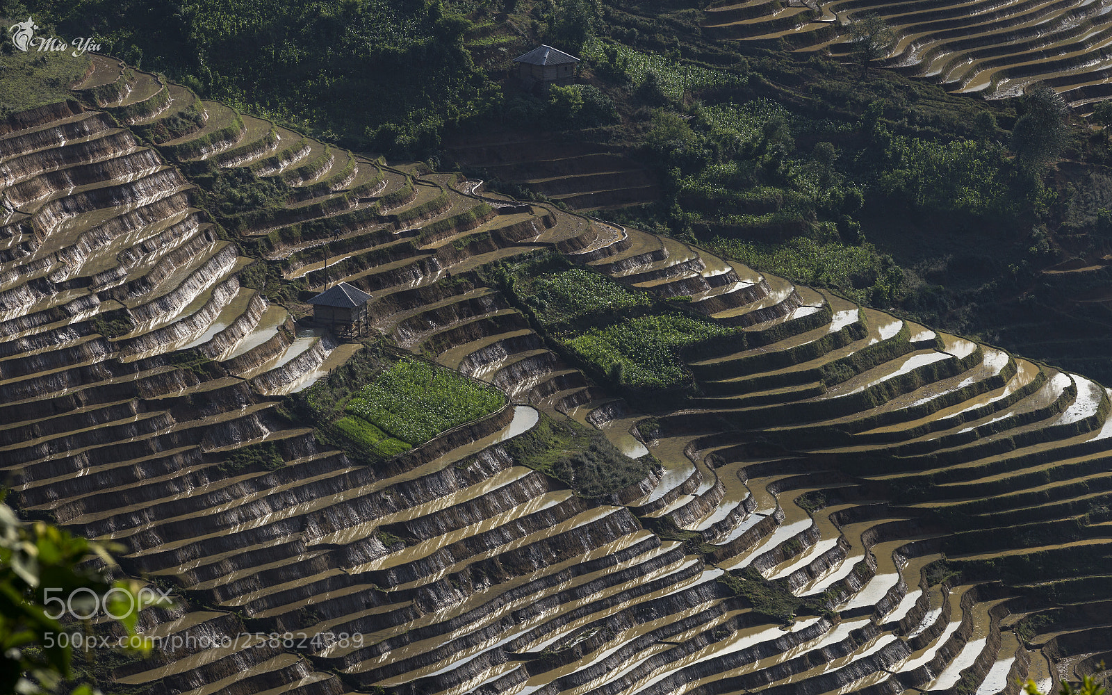 Canon EOS 6D sample photo. House in water terraced photography