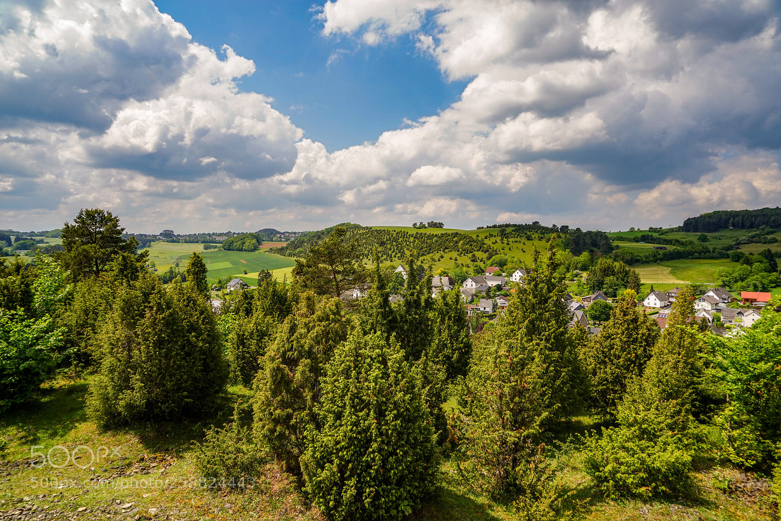 Sony a7R sample photo. Alendorf photography