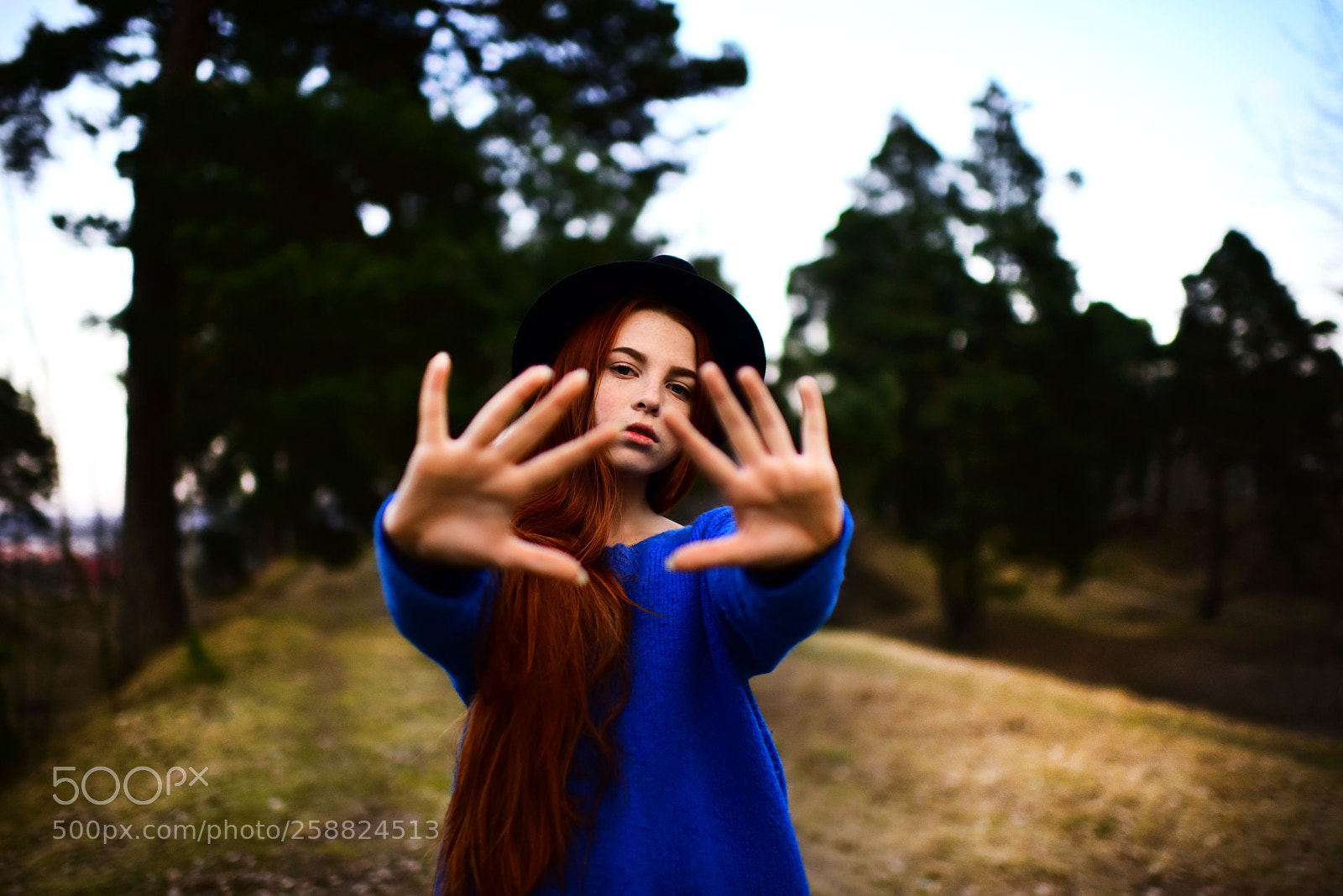 Nikon D810 sample photo. Девушка photography