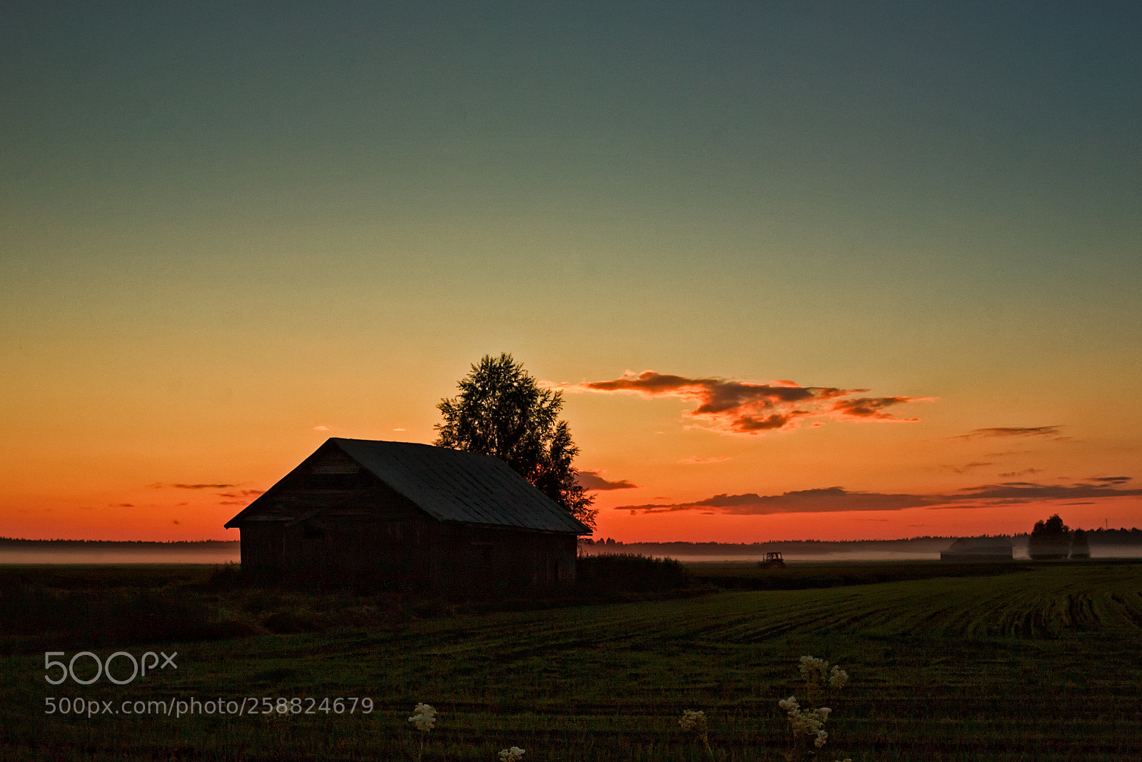 Canon EOS 50D sample photo. Mist at sunset photography