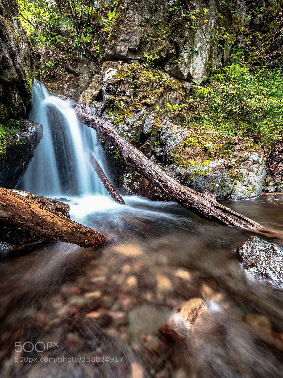Olympus OM-D E-M1 Mark II sample photo. Waterfall of jabuchi photography