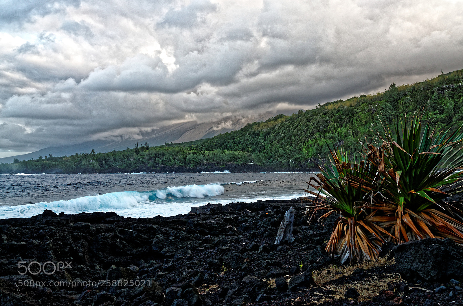 Nikon D7000 sample photo. Le sud sauvage photography