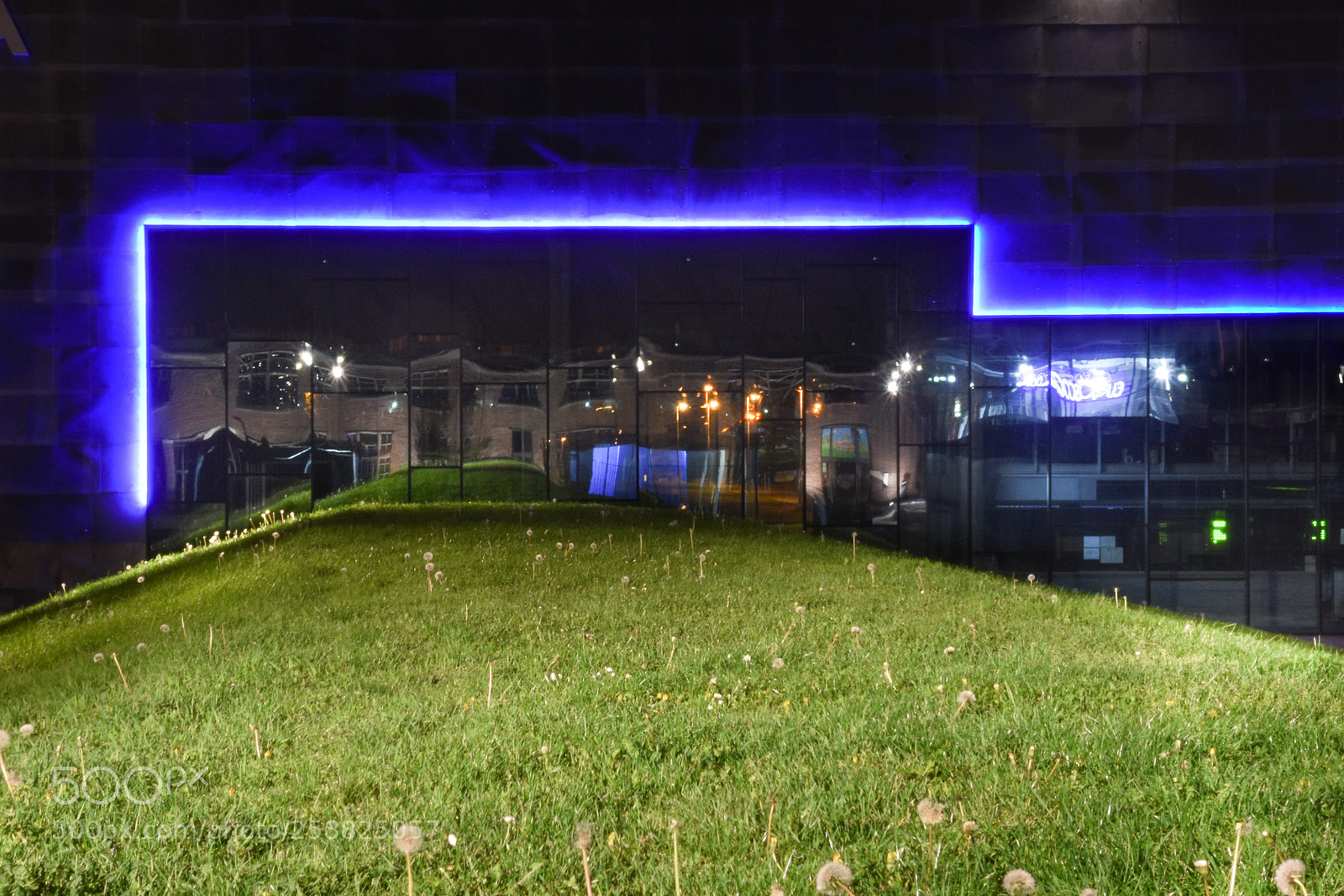 Nikon D7200 sample photo. C-mine photography
