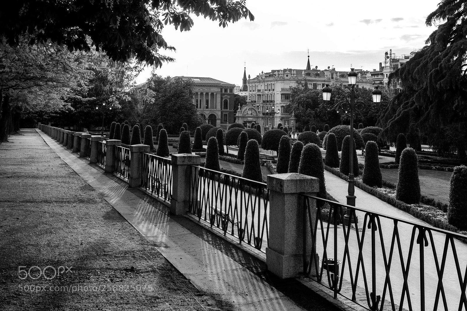Canon EOS 7D sample photo. 256 shades of retiro park photography