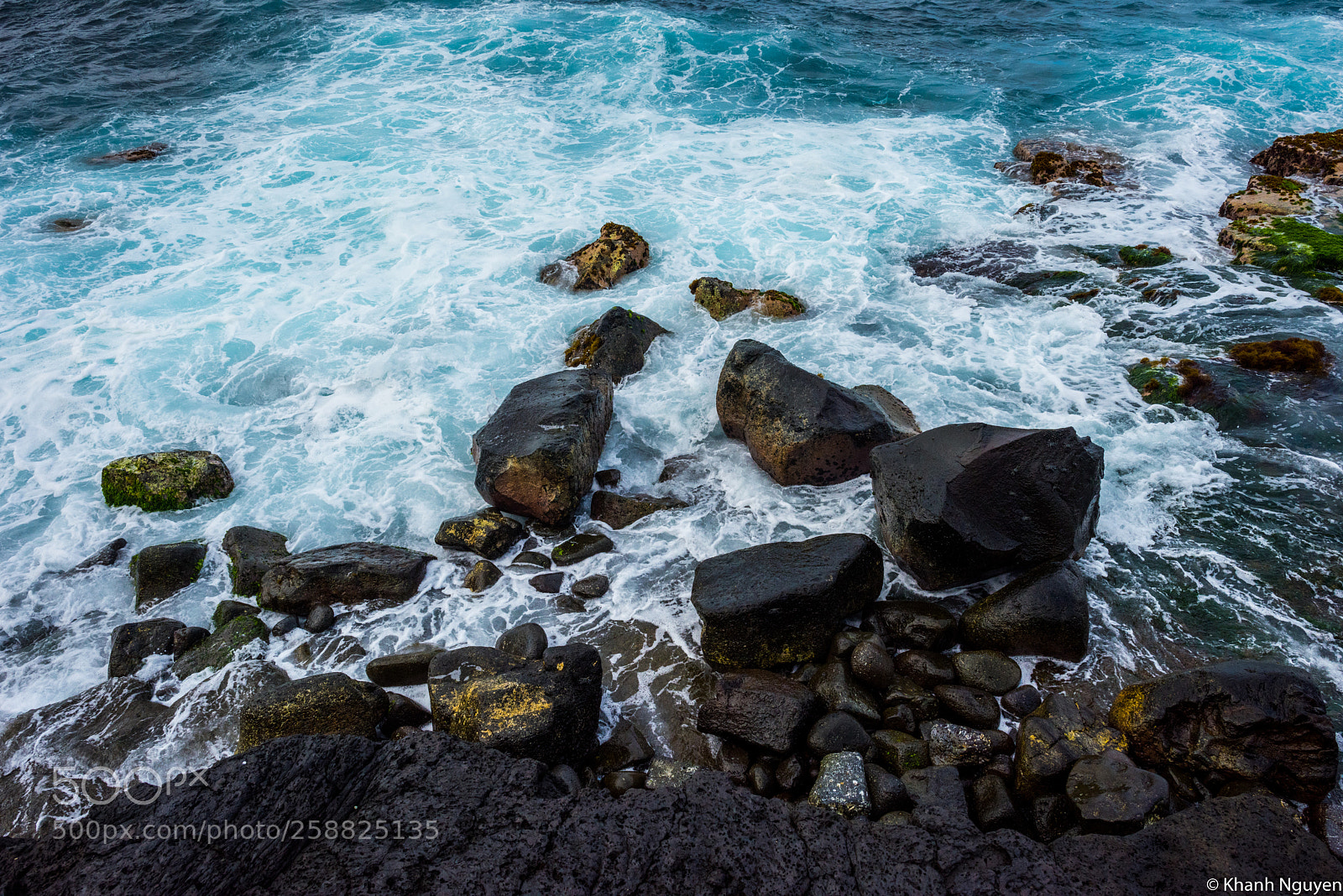 Nikon D810 sample photo. By the sea photography