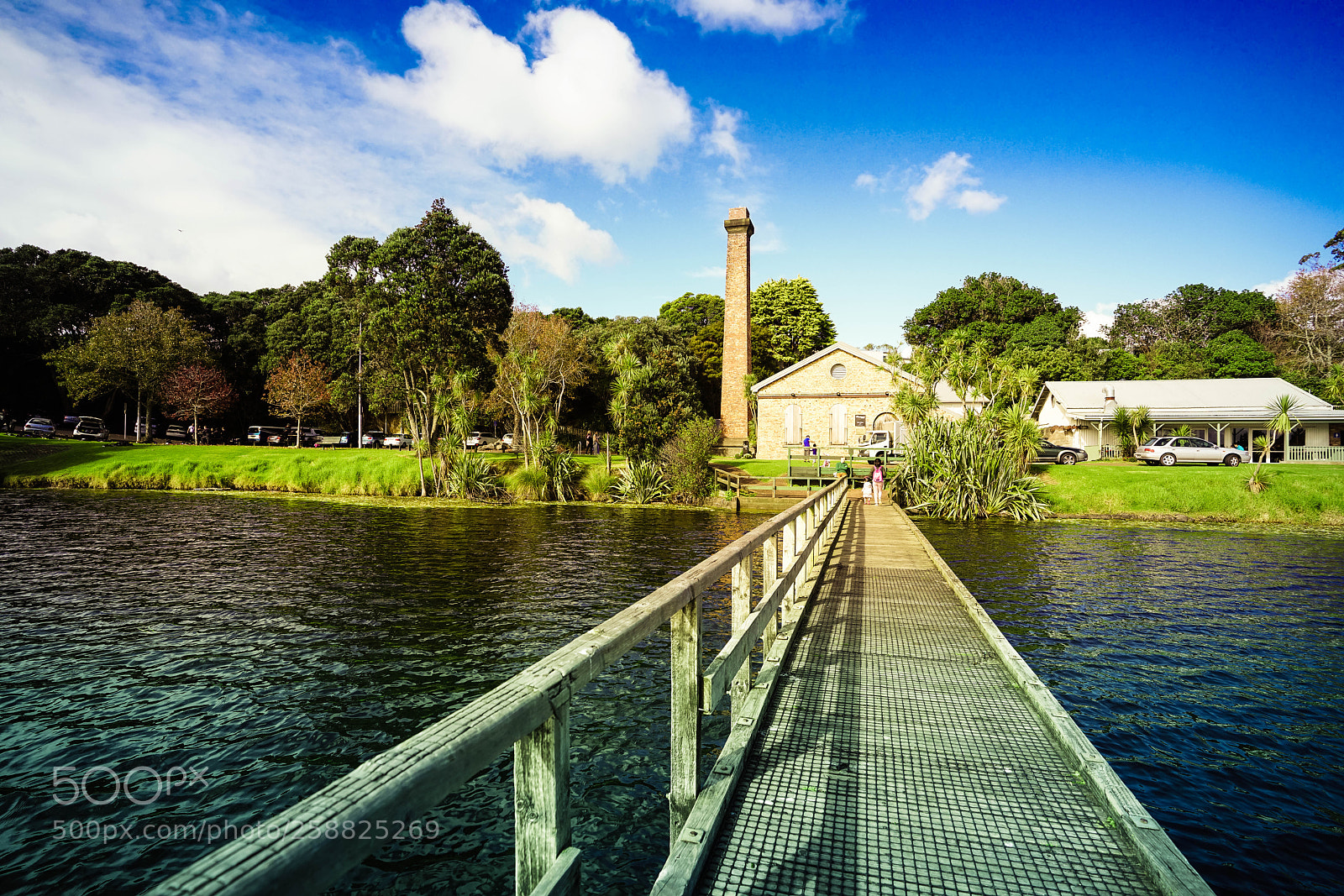 Sony a7R II sample photo. Autumn in auckland photography