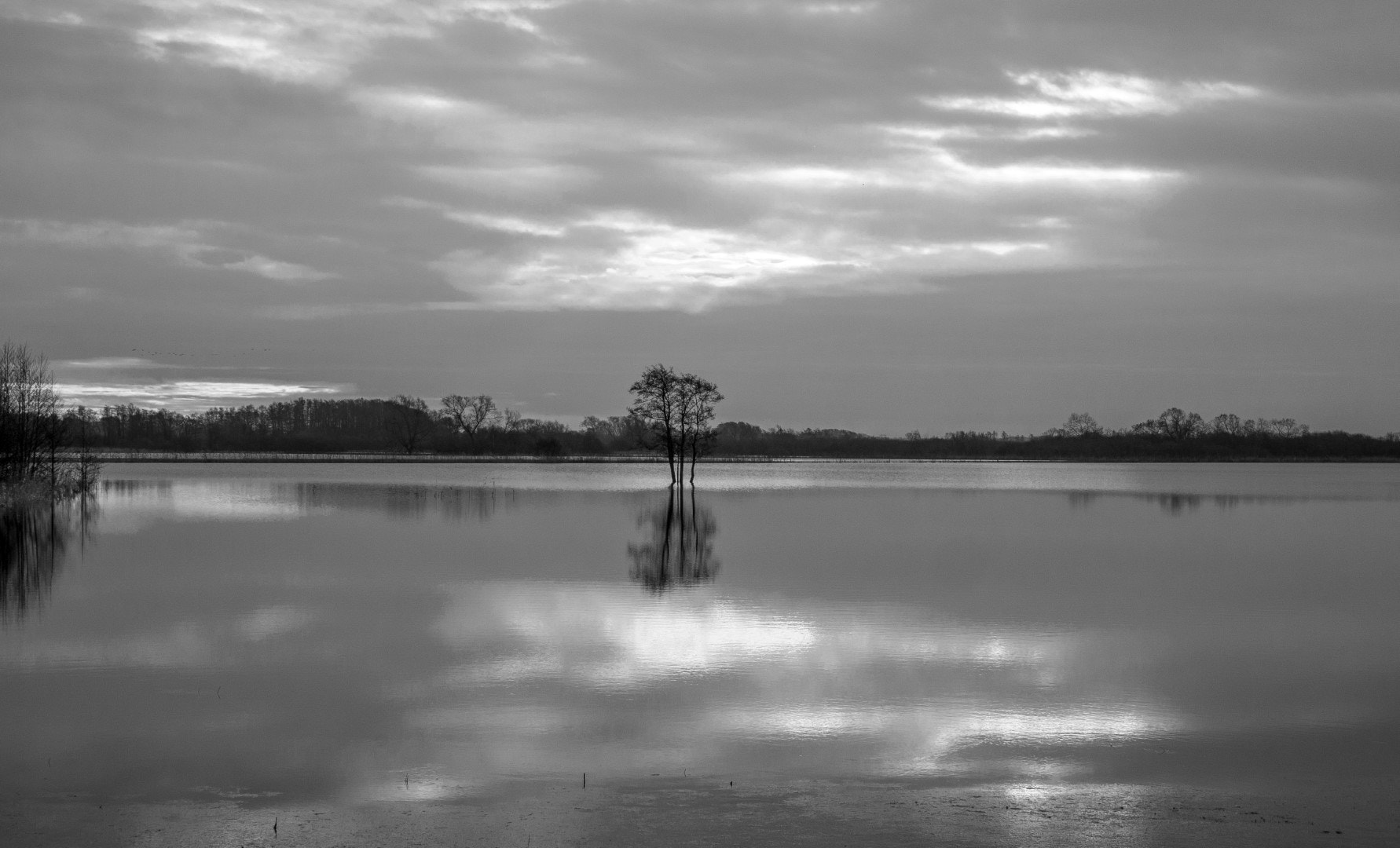 Panasonic Lumix DMC-GX1 sample photo. Flooded photography