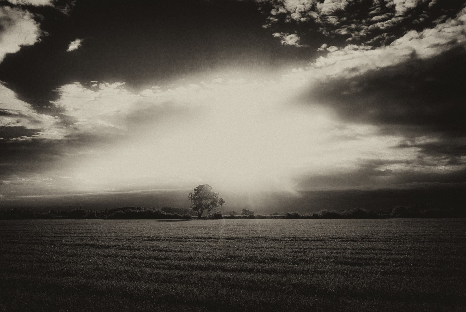 Canon PowerShot G1 X sample photo. Sunrise over a tree photography