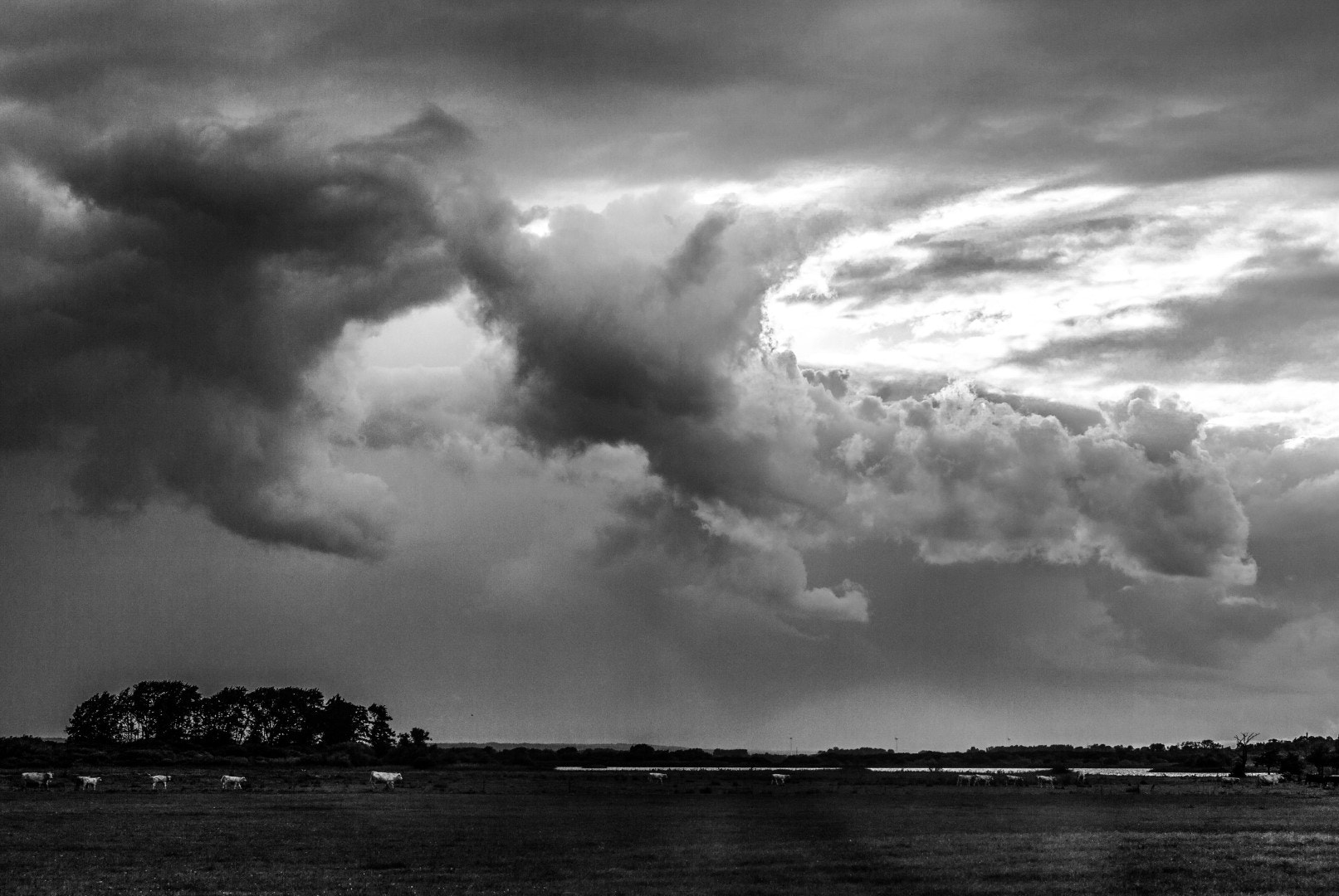 Canon PowerShot G1 X sample photo. Clouds over cows photography