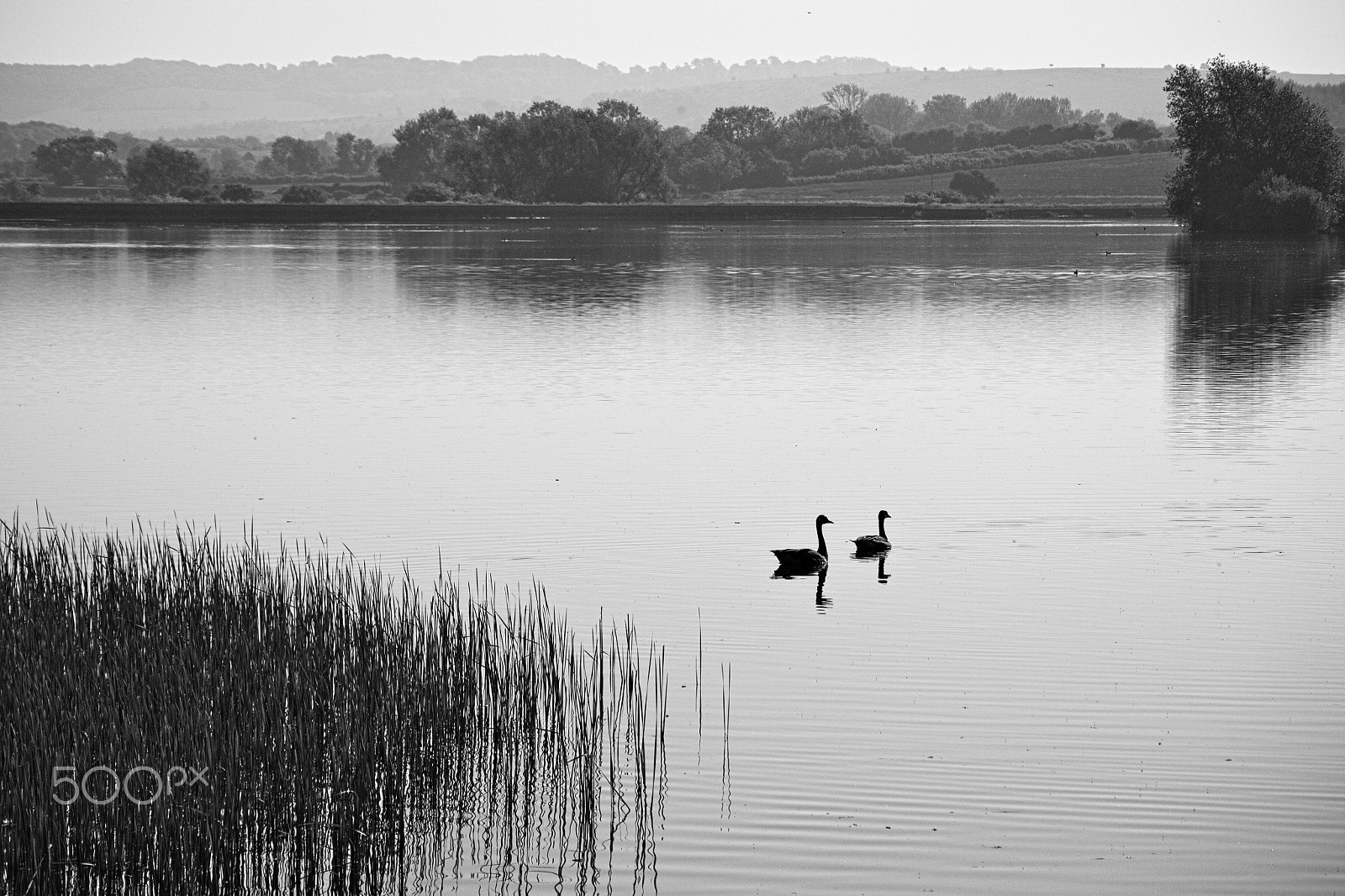 Nikon 1 V2 sample photo. Wilstone reservoir photography
