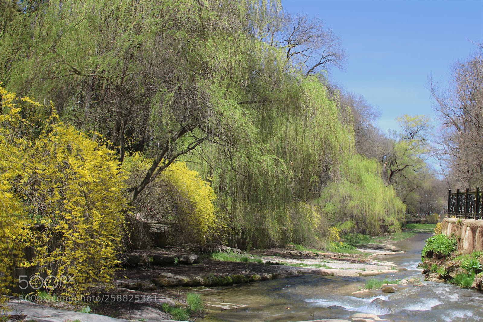 Canon EOS 600D (Rebel EOS T3i / EOS Kiss X5) sample photo. Spring mood photography