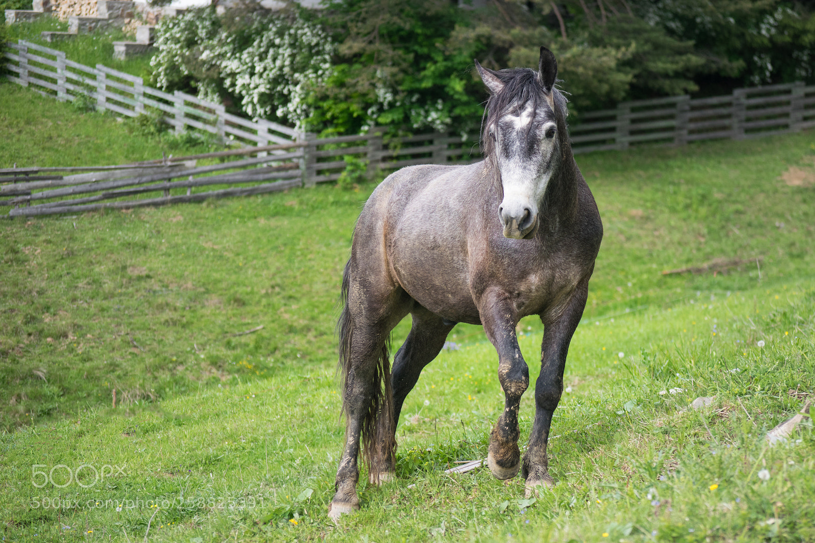 Nikon D3300 sample photo. A good friend photography