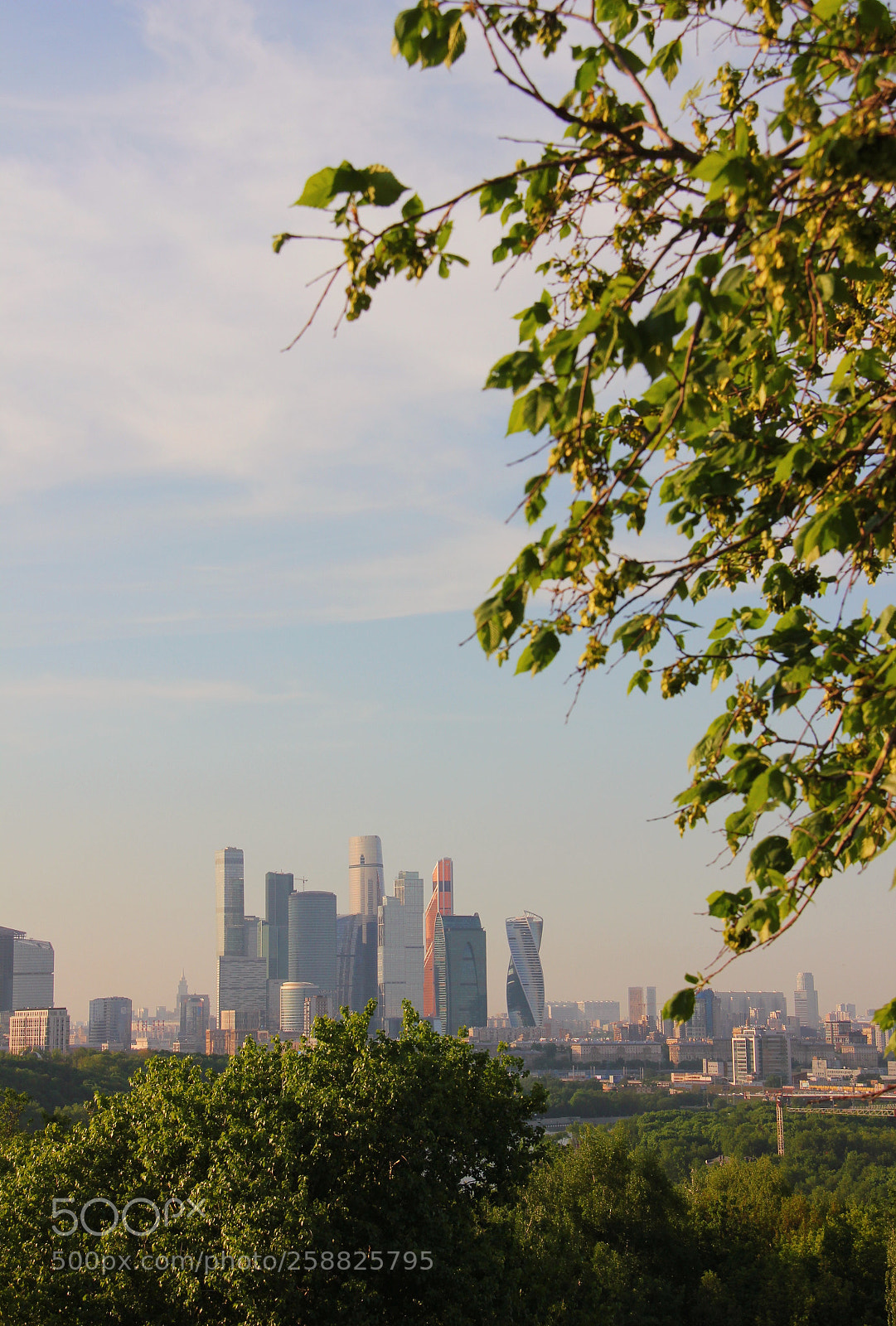 Canon EOS 550D (EOS Rebel T2i / EOS Kiss X4) sample photo. Beautiful moscow photography