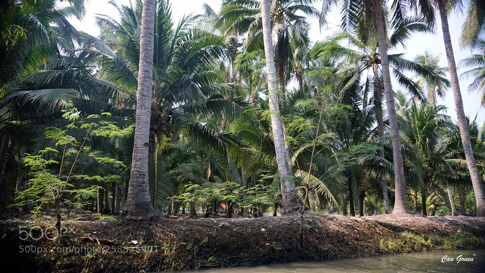 Sony a6000 sample photo. Thailand floatingmarket photography