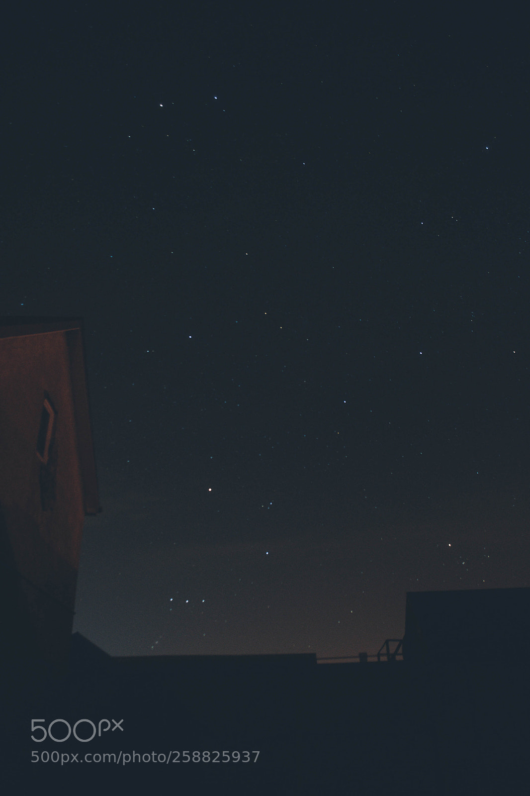 Nikon D3100 sample photo. Stars photography