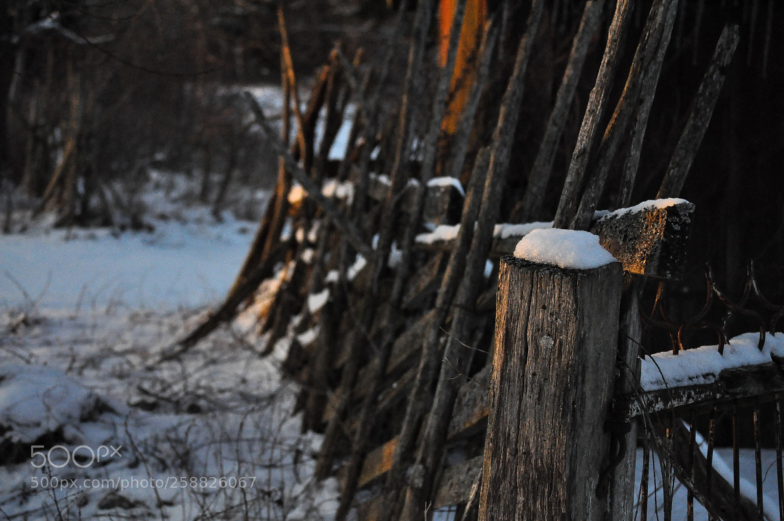 Nikon D5000 sample photo. Winter sunset photography