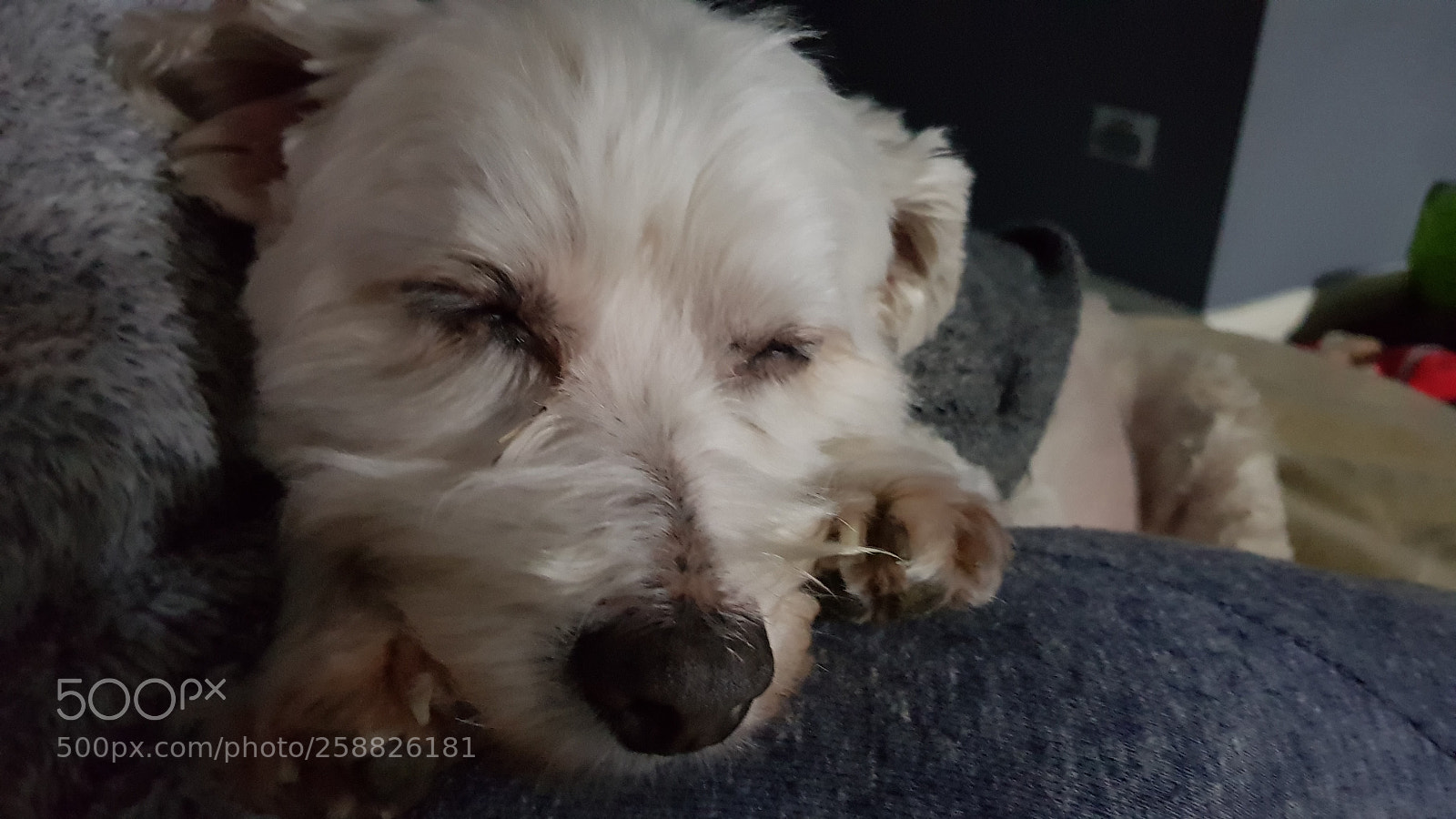 Samsung Galaxy S8 sample photo. Out for the count photography