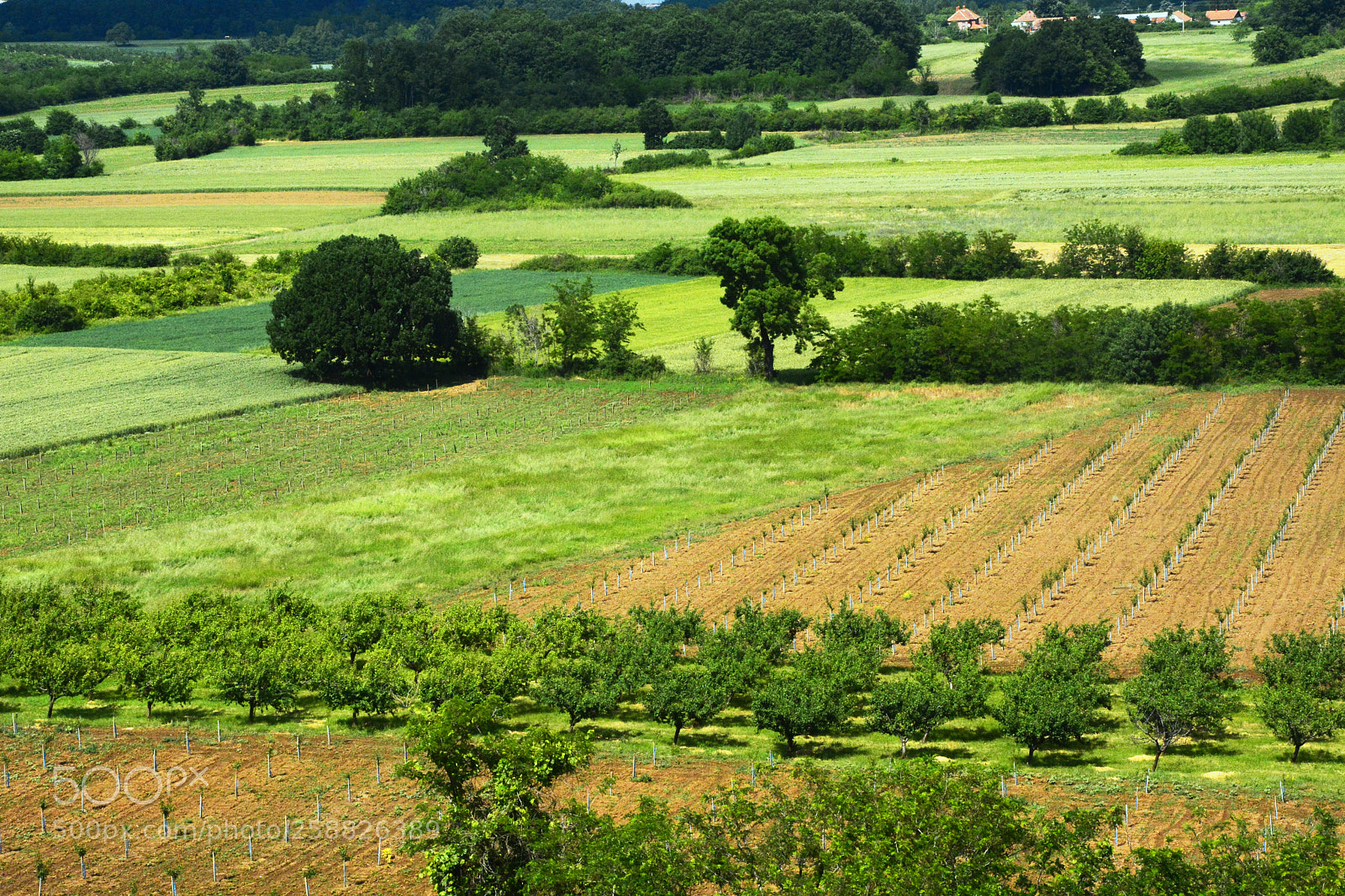 Nikon D7100 sample photo. Fields landscape photography