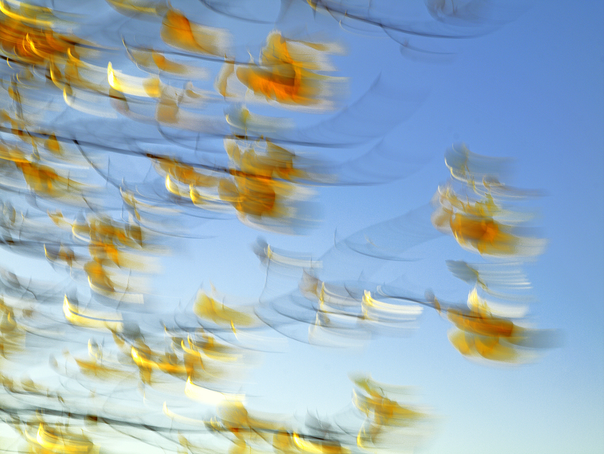 Olympus E-30 sample photo. Viento. photography