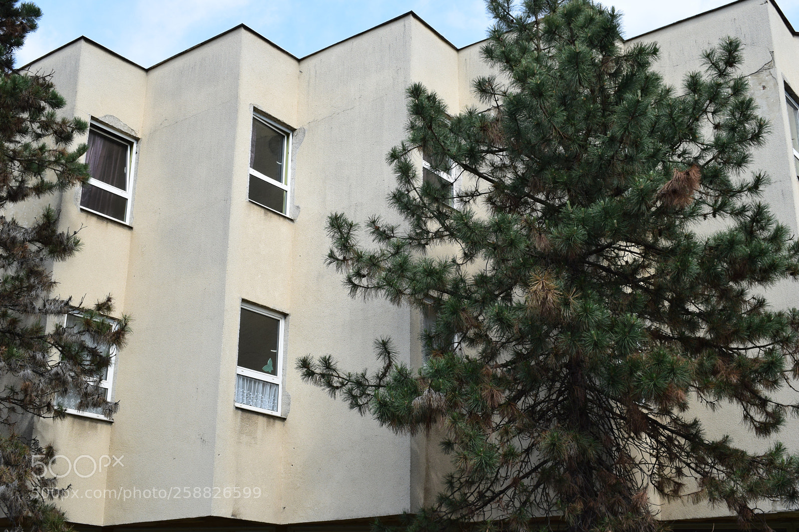 Nikon D5300 sample photo. Dorm photography