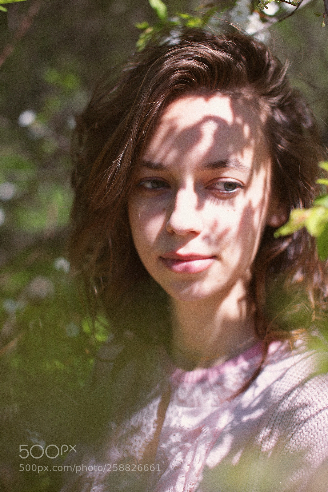 Canon EOS 6D sample photo. Oll photography