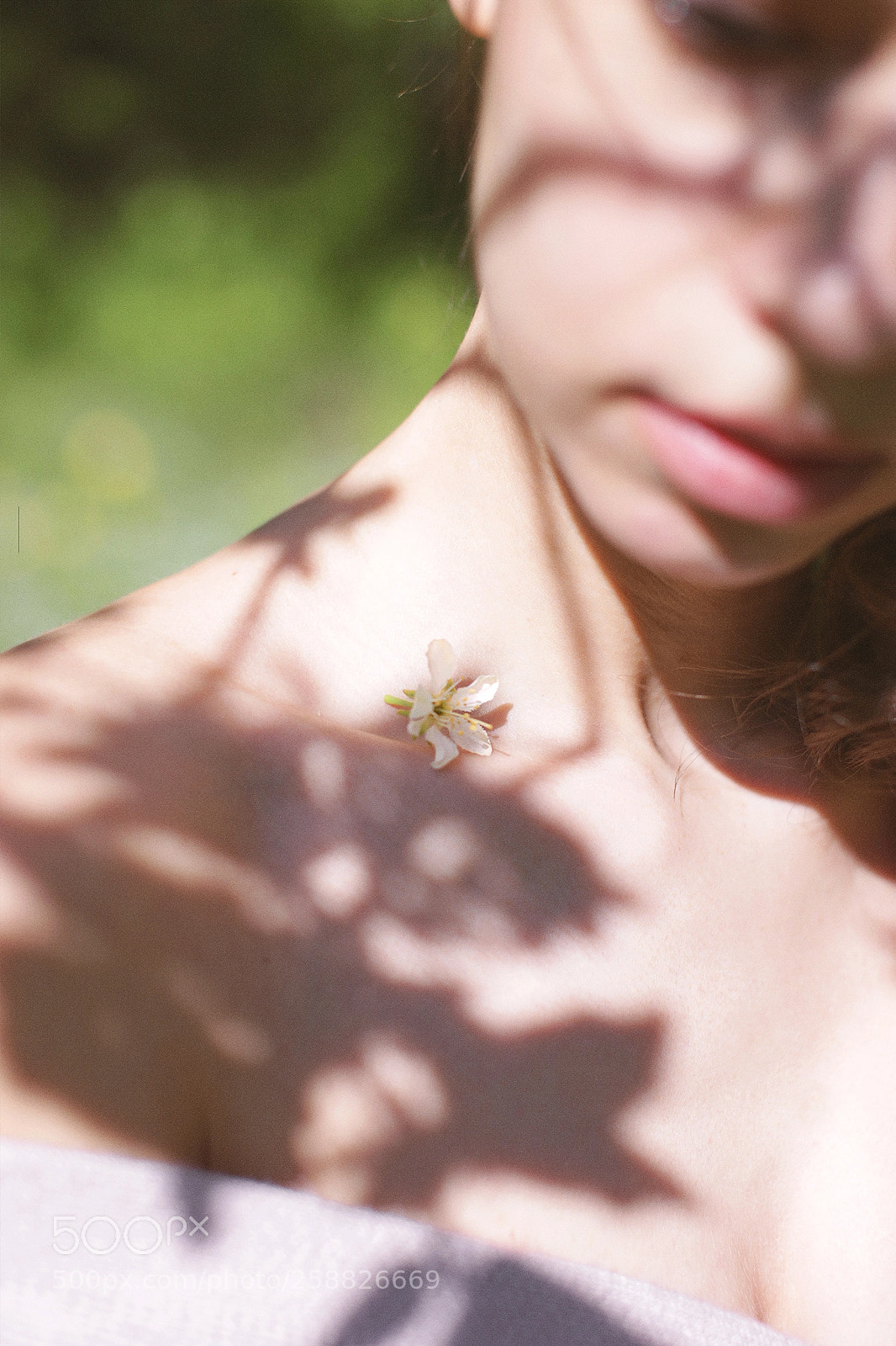 Canon EOS 6D sample photo. Oll photography