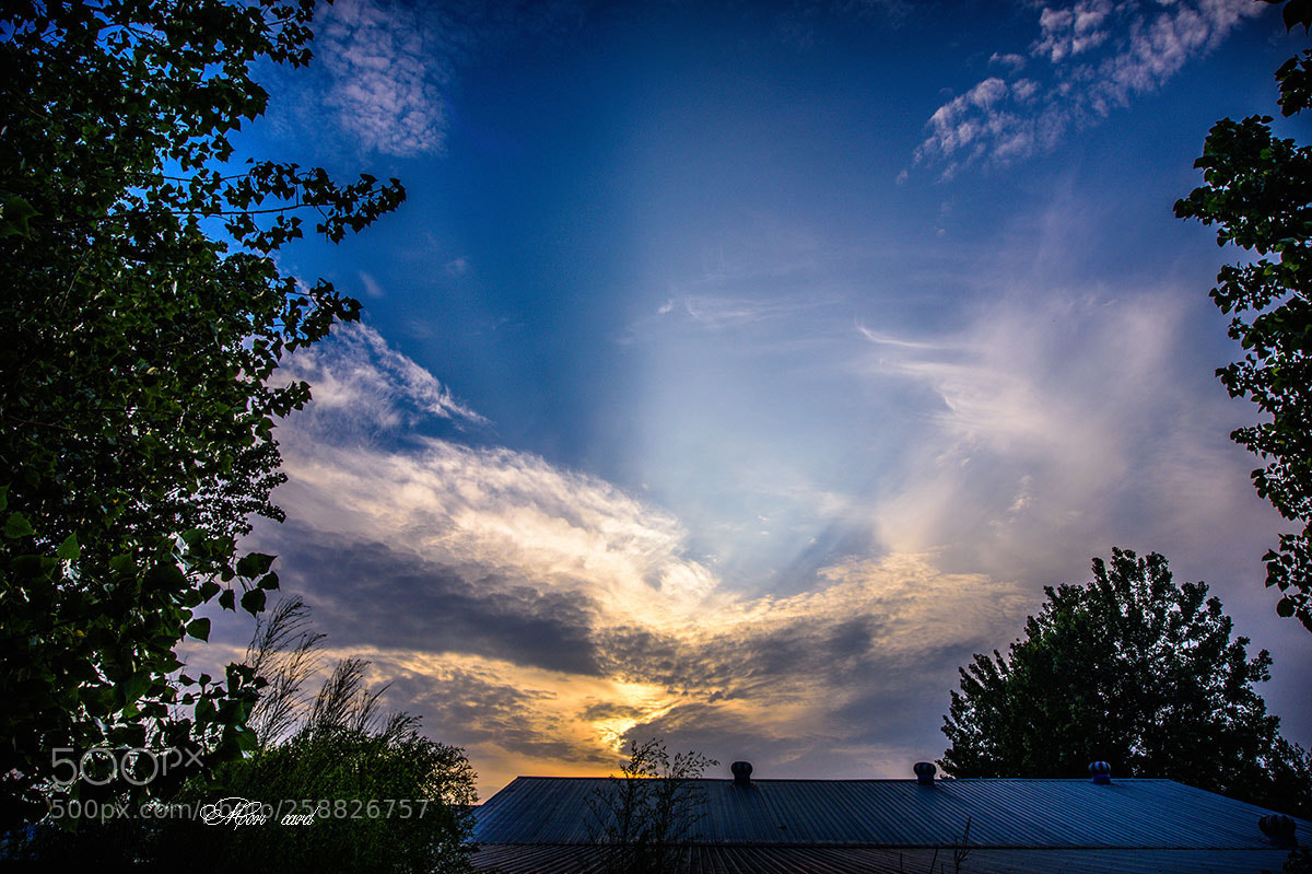 Nikon D750 sample photo. 1.jpg photography