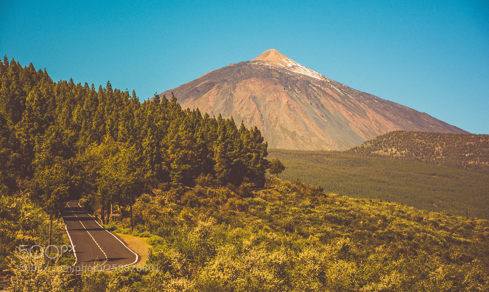Nikon D7100 sample photo. Forest teide vintage photography