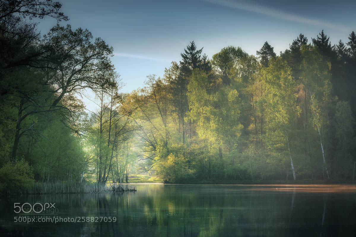 Nikon D750 sample photo. Awaking pond photography