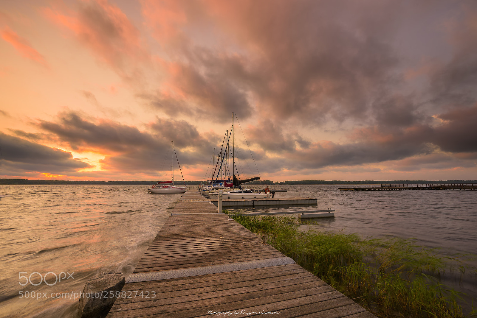 Nikon D810 sample photo. Jezioro roś mazury... photography